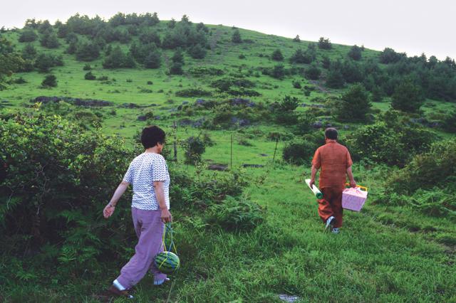 Beakjung Cattle Festival