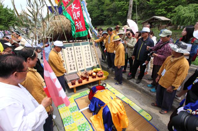 Yeongsan Juldarigi