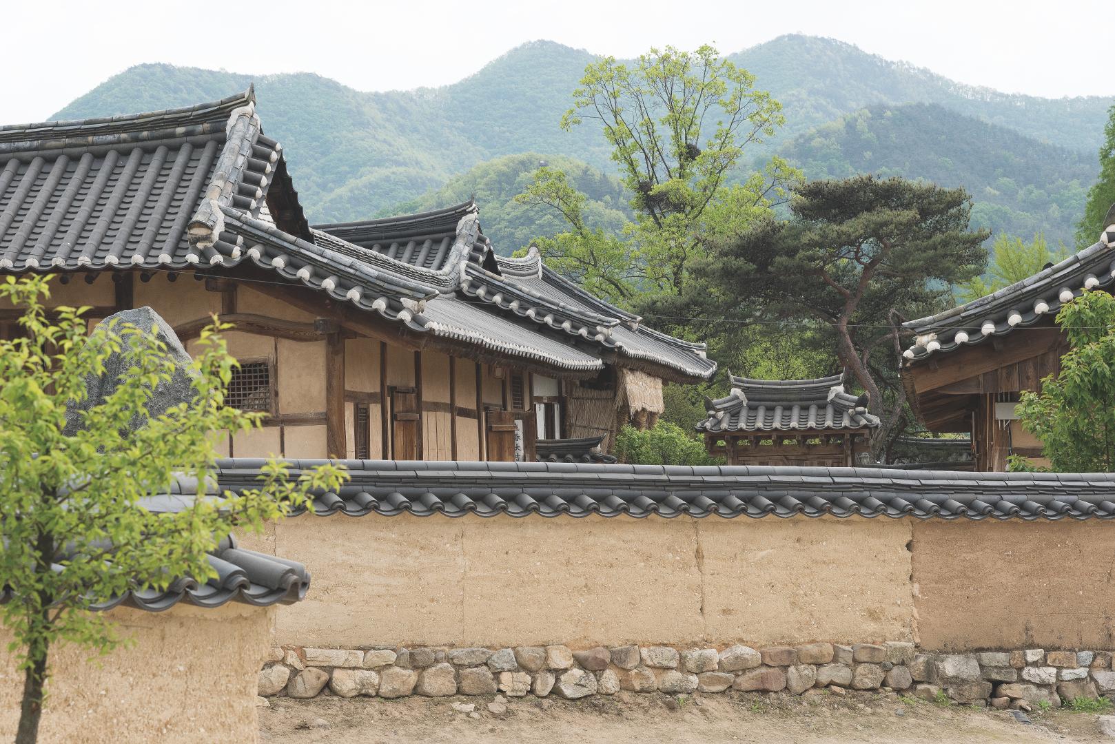 담장