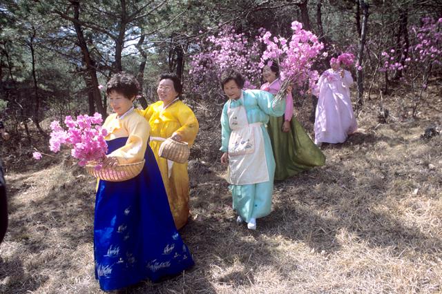 excursión para disfrutar de las flores
