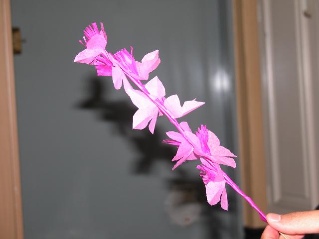 Flores de Papel